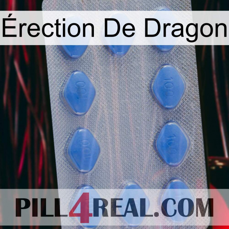 Érection De Dragon 21
